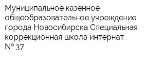 Муниципальное казенное общеобразовательное учреждение города Новосибирска Специальная коррекционная школа-интернат   37