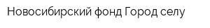 Новосибирский фонд Город-селу