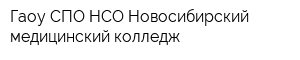 Гаоу СПО НСО Новосибирский медицинский колледж