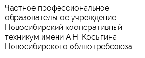 Частное профессиональное образовательное учреждение Новосибирский кооперативный техникум имени АН Косыгина Новосибирского облпотребсоюза