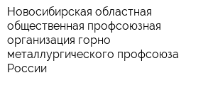 Новосибирская областная общественная профсоюзная организация горно-металлургического профсоюза России