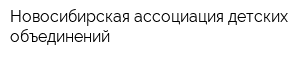 Новосибирская ассоциация детских объединений