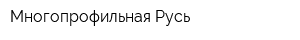 Многопрофильная Русь