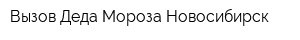 Вызов Деда Мороза Новосибирск