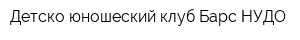 Детско-юношеский клуб Барс НУДО