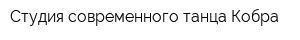 Студия современного танца Кобра