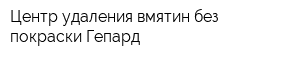 Центр удаления вмятин без покраски Гепард