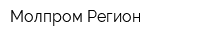 Молпром Регион