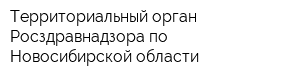Территориальный орган Росздравнадзора по Новосибирской области