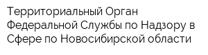 Территориальный Орган Федеральной Службы по Надзору в Сфере по Новосибирской области