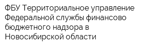 ФБУ Территориальное управление Федеральной службы финансово-бюджетного надзора в Новосибирской области