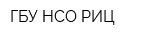 ГБУ НСО РИЦ
