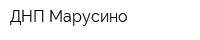 ДНП Марусино