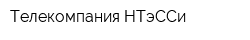 Телекомпания НТэССи