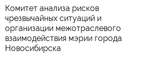 Комитет анализа рисков чрезвычайных ситуаций и организации межотраслевого взаимодействия мэрии города Новосибирска