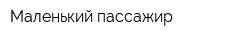 Маленький пассажир