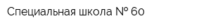 Специальная школа   60