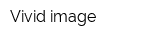 Vivid image