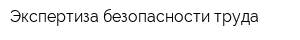 Экспертиза безопасности труда