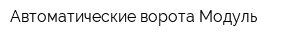 Автоматические ворота Модуль
