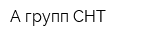 А-групп СНТ