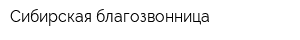 Сибирская благозвонница