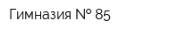 Гимназия   85