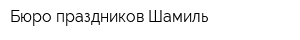 Бюро праздников Шамиль