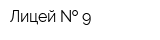 Лицей   9