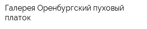 Галерея Оренбургский пуховый платок