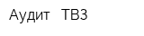 Аудит - ТВЗ