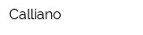 Calliano