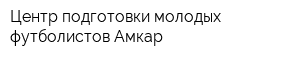 Центр подготовки молодых футболистов Амкар