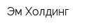 Эм-Холдинг