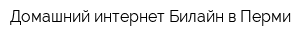 Домашний интернет Билайн в Перми