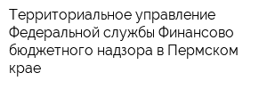 Территориальное управление Федеральной службы Финансово-бюджетного надзора в Пермском крае