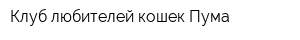 Клуб любителей кошек Пума