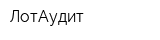 ЛотАудит