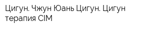 Цигун Чжун Юань Цигун Цигун-терапия CIM