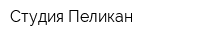 Студия Пеликан