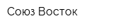 Союз-Восток
