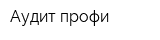 Аудит-профи