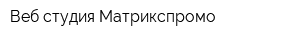 Веб-студия Матрикспромо