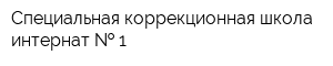 Специальная коррекционная школа-интернат   1