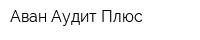 Аван-Аудит Плюс