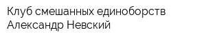 Клуб смешанных единоборств Александр Невский