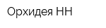 Орхидея-НН