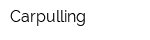 Carpulling