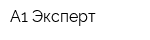 А1 Эксперт