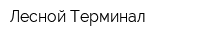 Лесной Терминал
